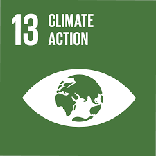 United Nations Sustainable Development Goal 13 climate action logo